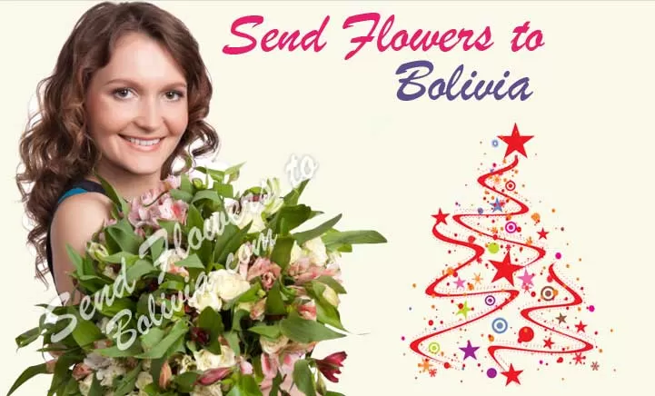 Send Flowers To Bolivia