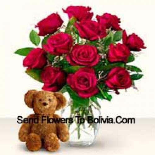 11 Red Roses with Cute 12 Inch Teddy