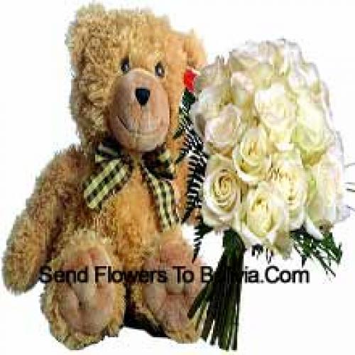 19 White Roses with 14 Inch Teddy