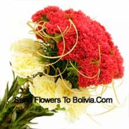 37 Red and Yellow Carnations