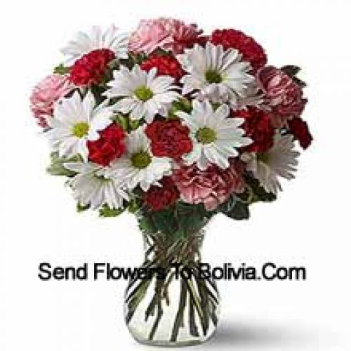 Cute 25 Carnations and Gerberas