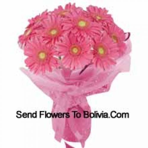 11 Pink Gerberas hand Bunch