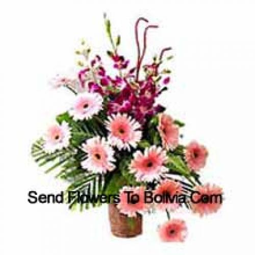 Sensational Gerberas with Orchids