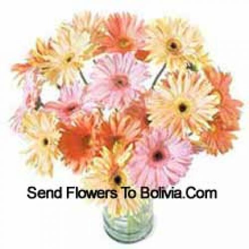 25 Fancy Assorted Gerberas