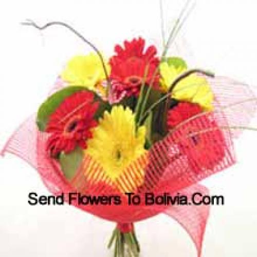 Cute Mixed Gerberas