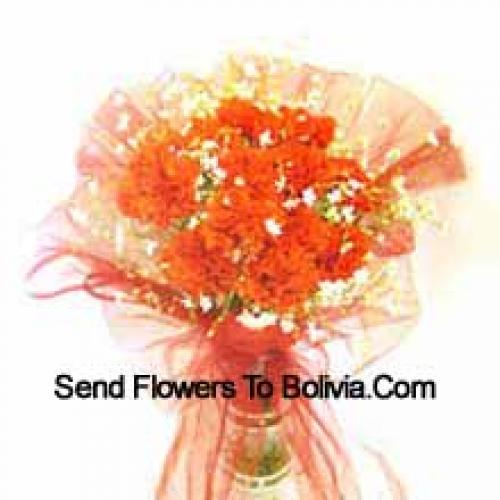 11 Orange Carnations in Vase