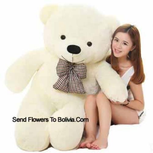 48 Inches Cute White Teddy