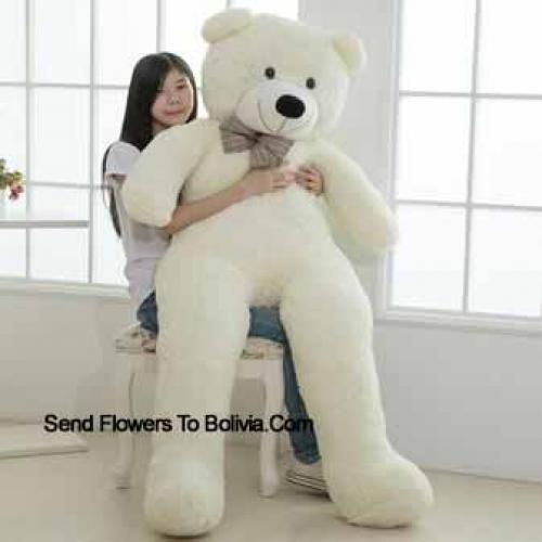 5 Feet Giant Teddy