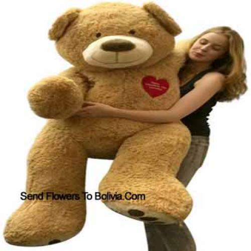 5 Feet Cute Brown Teddy